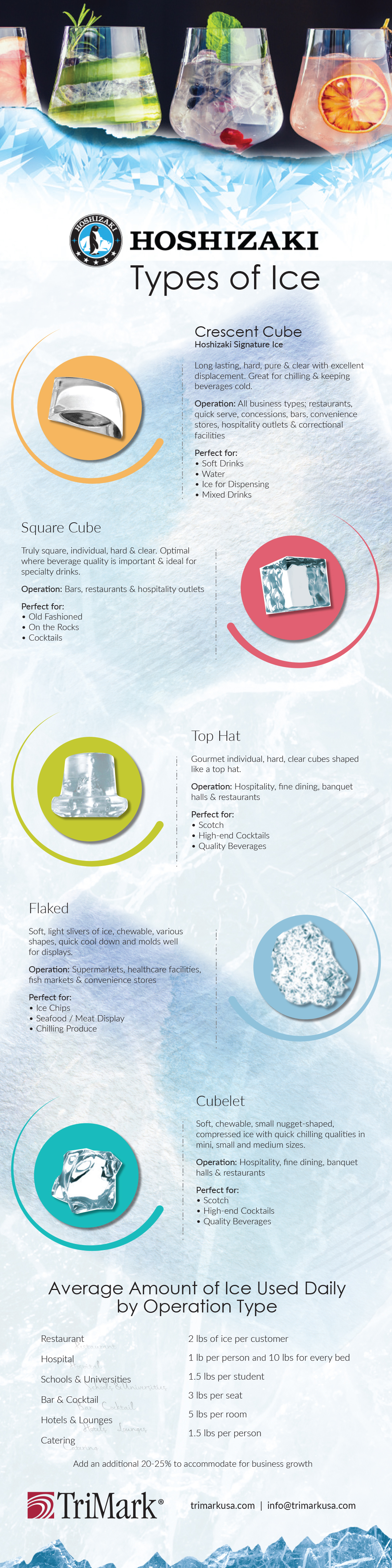 Hoshizaki Ice Infographic