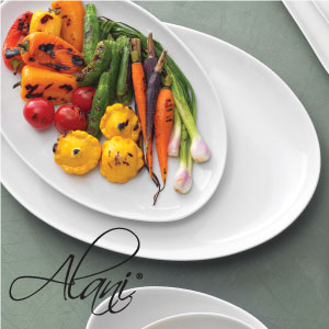 Alani Porcelein Dinnerware