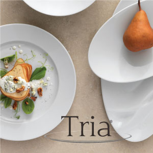 Tria Porcelain Dinnerware