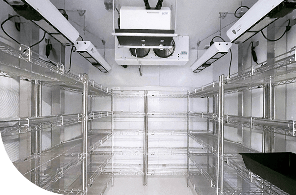 Image (5)-Feb-23-2026-04-01-20-8731-PM