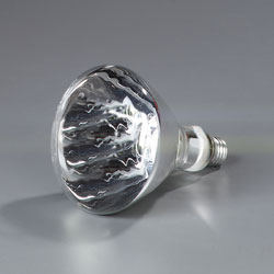Carlisle HLRP602 Heat Lamp Bulb